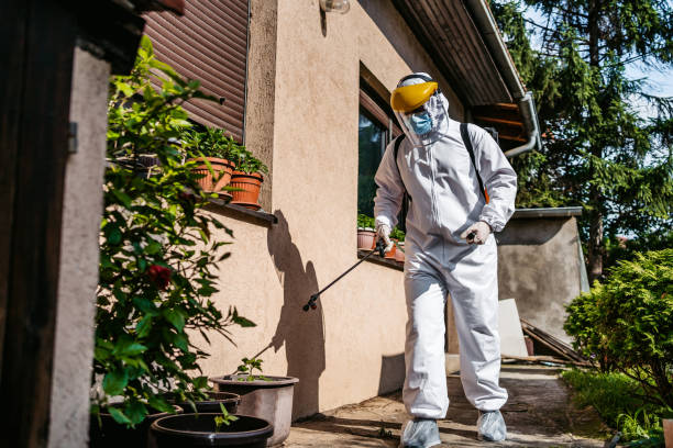 Best Affordable Pest Control Services  in Farmington, IL