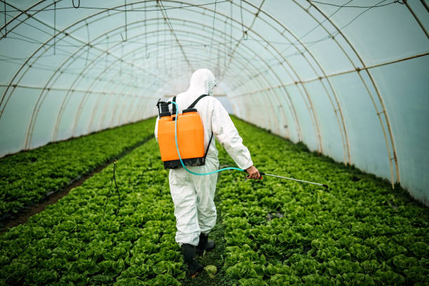 Best Insect Control  in Farmington, IL