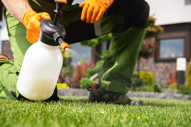 Best Rodent Control Near Me  in Farmington, IL