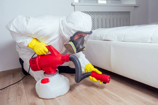 Best Mosquito Control Services  in Farmington, IL