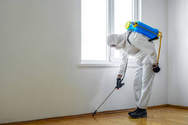 Best Pest Control Near Me  in Farmington, IL