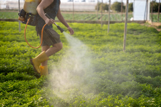 Best Best Pest Control Near Me  in Farmington, IL