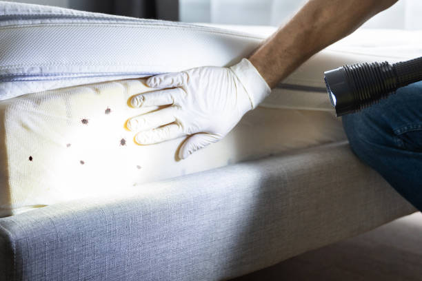 Best Commercial Pest Control Services  in Farmington, IL