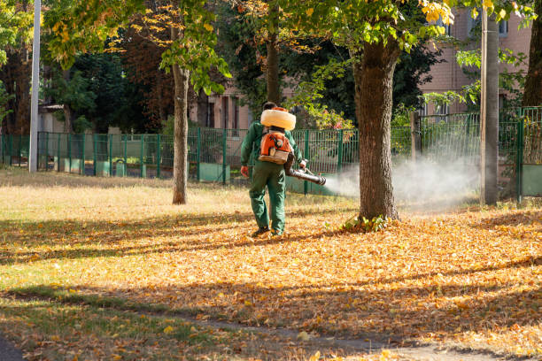 Best Wildlife Control Services  in Farmington, IL