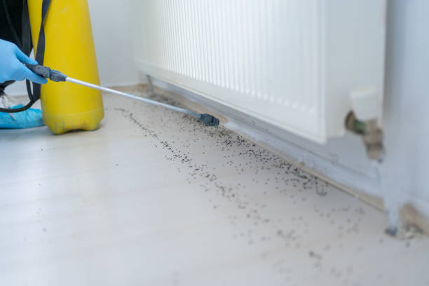 Best Emergency Pest Control  in Farmington, IL