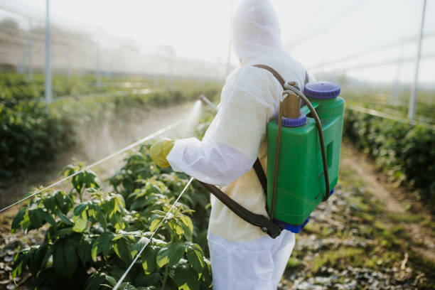 Best Termite Control Services  in Farmington, IL
